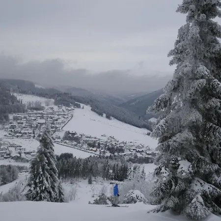 Stylish Holiday In Hesse Near The Forest *